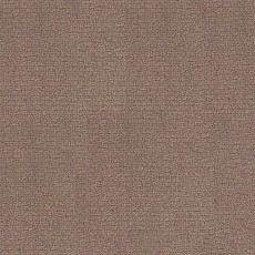 Ковролин Radici Abetone Tortora 4972 фото 1 | FLOORDEALER